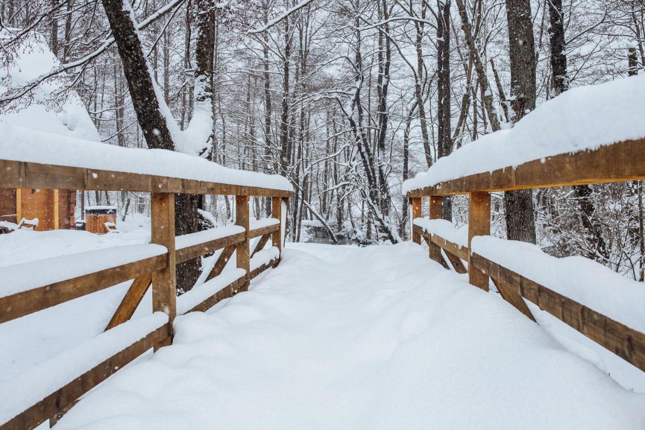 Vodenica Vrelo Chalets Vrelo Koreničko المظهر الخارجي الصورة